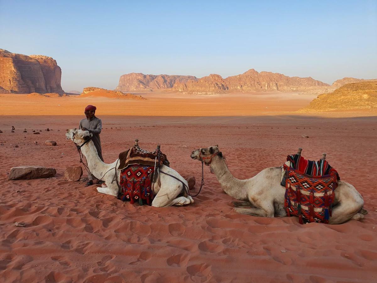 Wadi Rum Bedouin Camp Екстериор снимка
